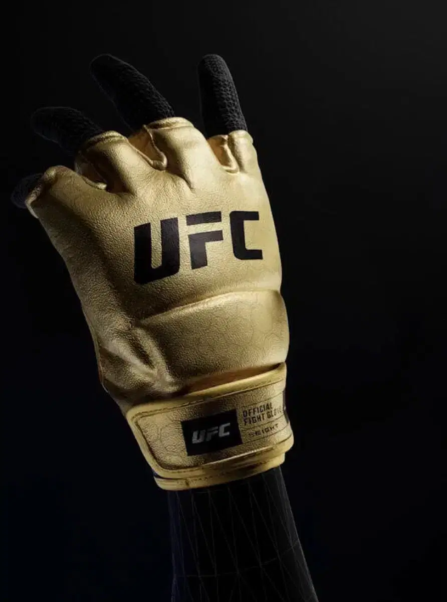 Ufc 챔피언 글러브 팝니다