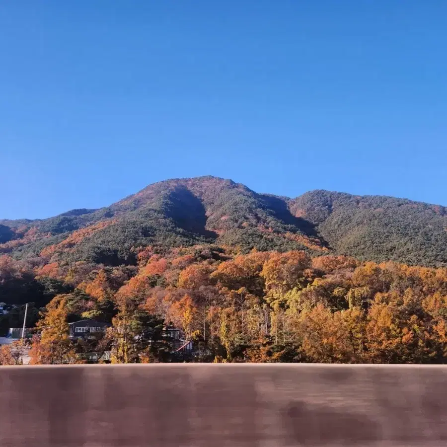 베어브릭을 구합니다. (대량 환영)