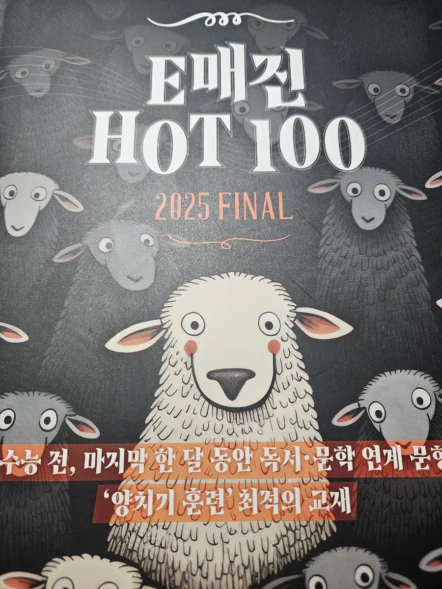 수능 국어 상상 E매진 HOT100