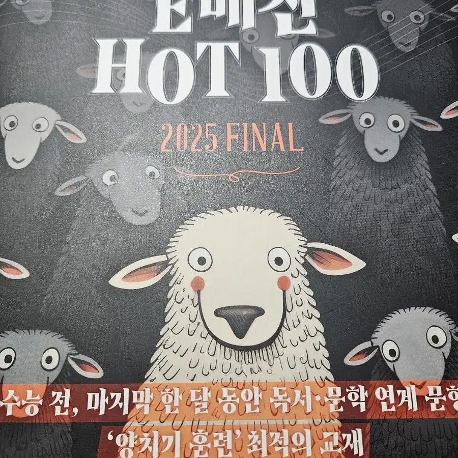 수능 국어 상상 E매진 HOT100