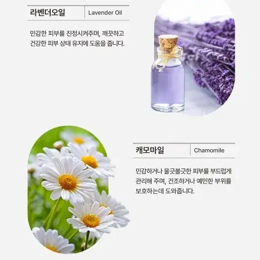 노레이 가드크림 50ml 건조한 피부 뽀송한 피부관리 스페셜 피부케어 외