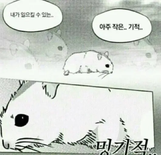 코스프레 의상 팝니다.