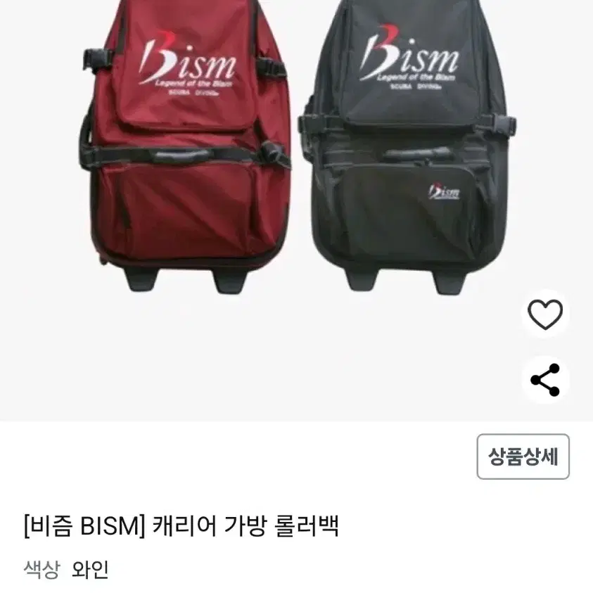 비즘 스노우쿨링 캐리어 가방