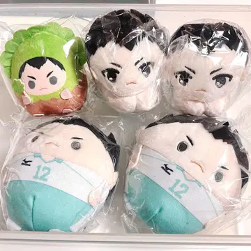 하이큐 가네다 이치 유타로 봉제 인형 세트 덕질 덕질 파랑성