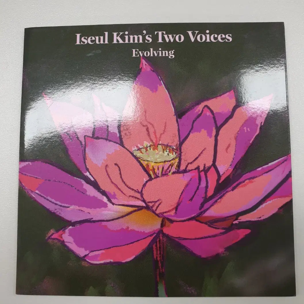 [중고 CD] 김이슬's Two Voices - Evolving