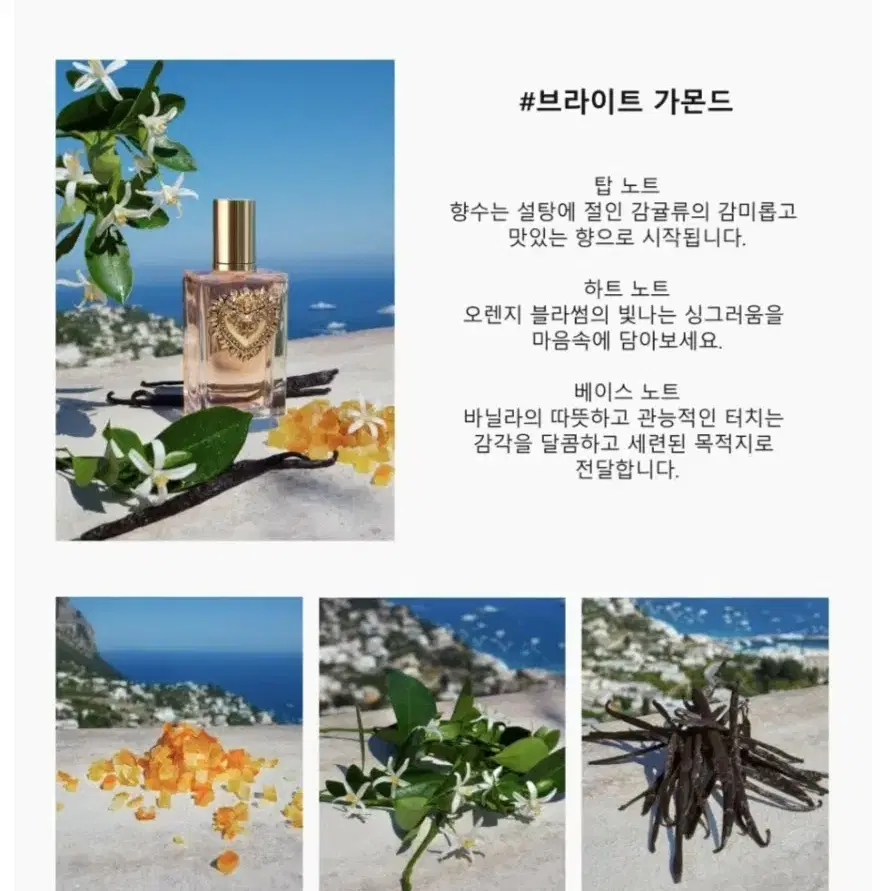 돌체앤가바나 디보션 오 드 퍼퓸 50ml