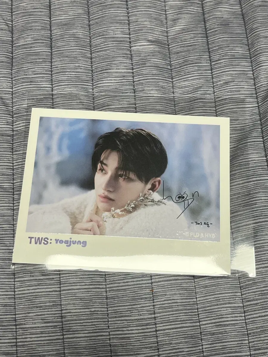 TWS jihoon Yoazheng polaroid WTS