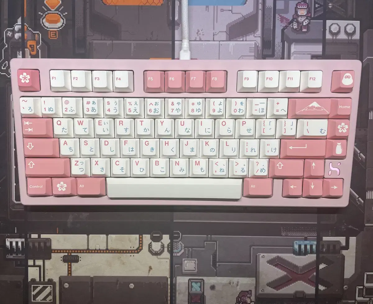 풀빌드 Hiexa V75 Pink