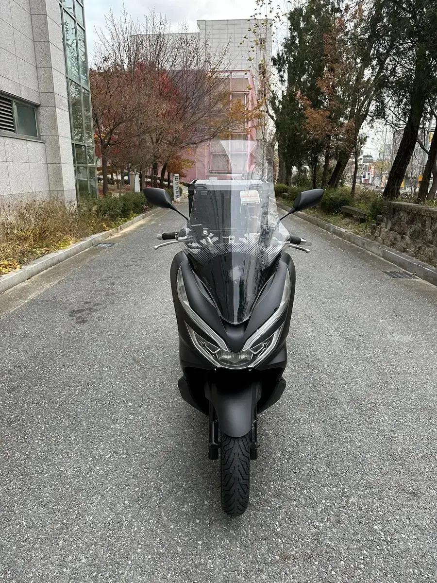 19년식 pcx150 ABS 오토바이 판매합니다