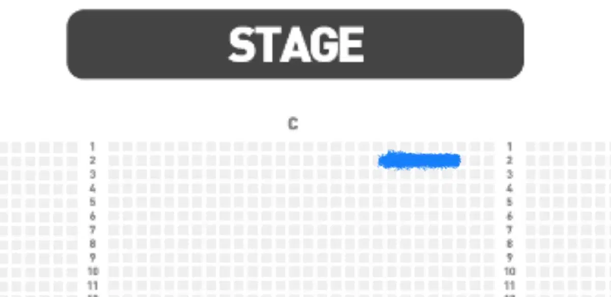 스테이지 파이터 대구 1월 11일 13시 C구역 2열 양도