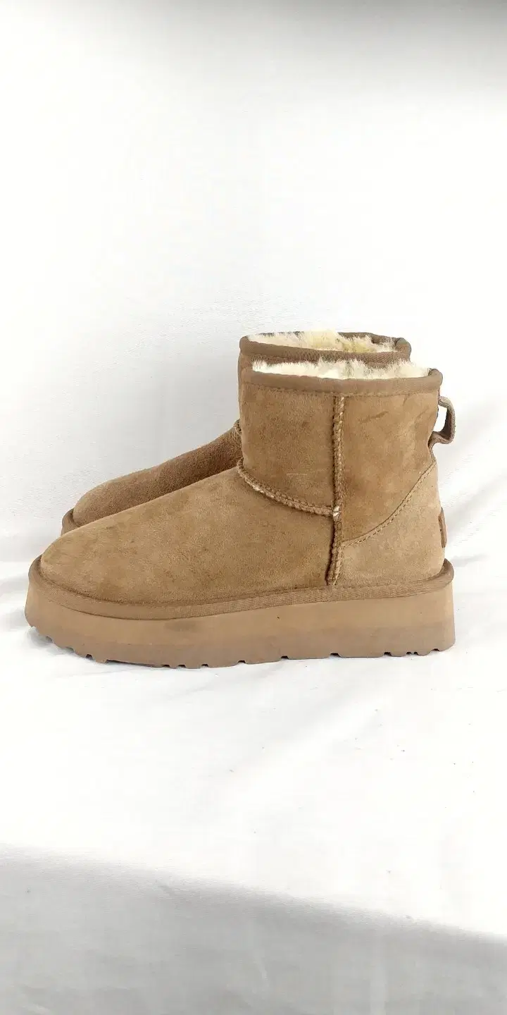 230 UGG 숏츠 어그부츠