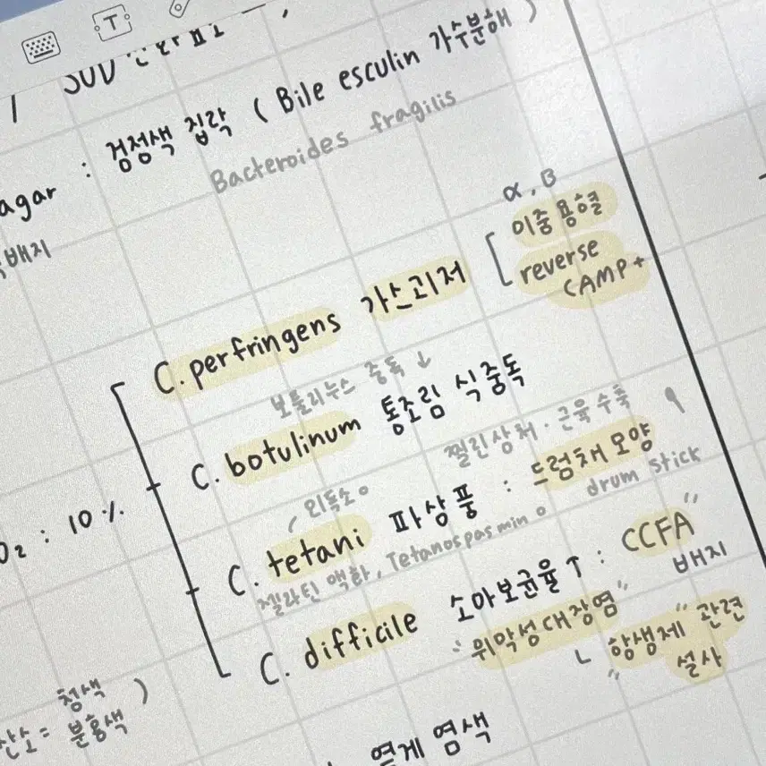 임상병리과 국가고시 국시 임병 전공 문제집 책 판매