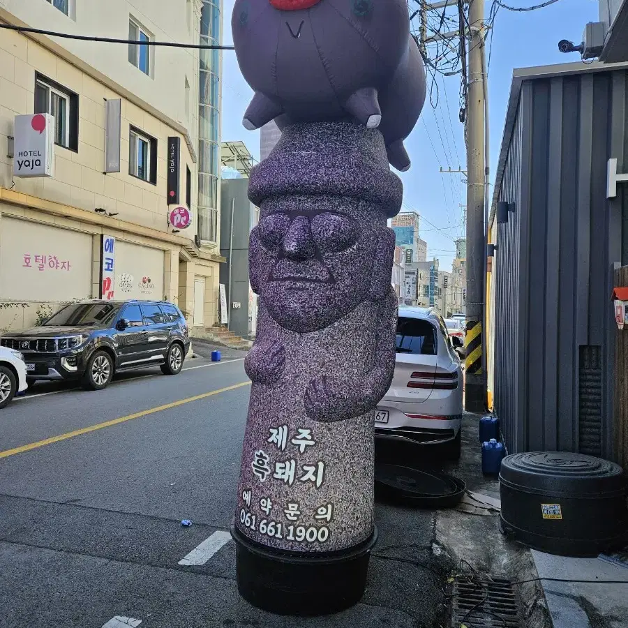 제주 흑 돼지 풍선 간판