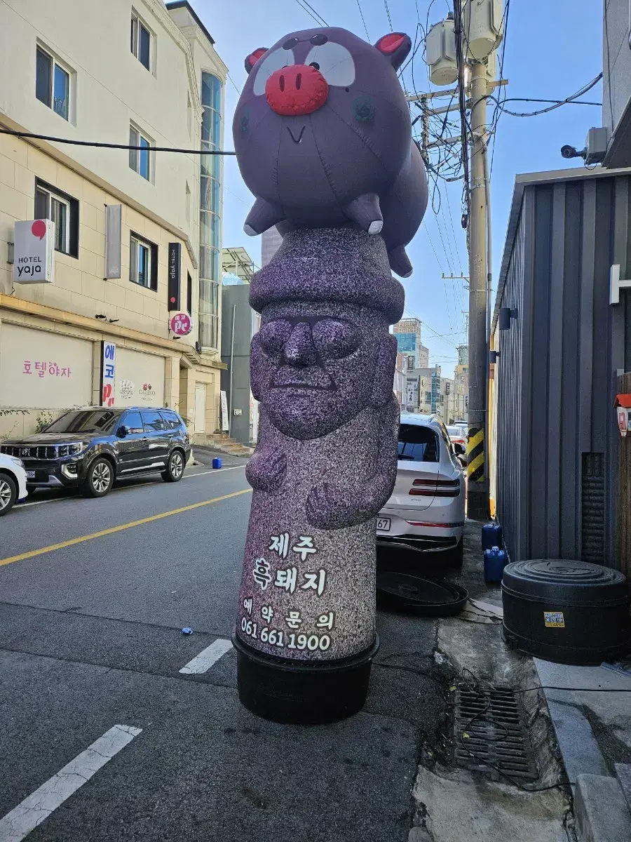 제주 흑 돼지 풍선 간판