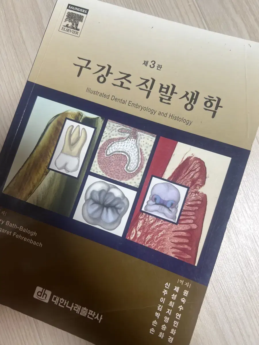 Oral Histogenetics 3rd Edition 대한나래출판사