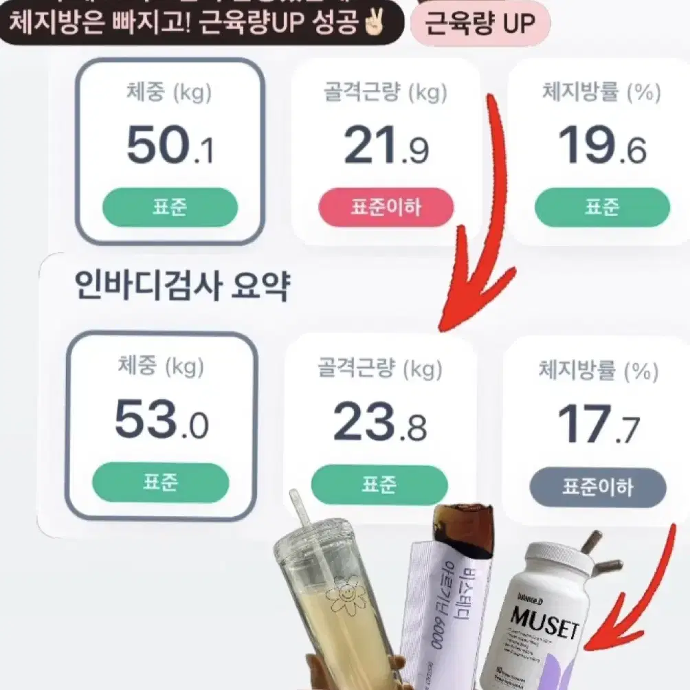 비스테디 아르기닌 (새상품)