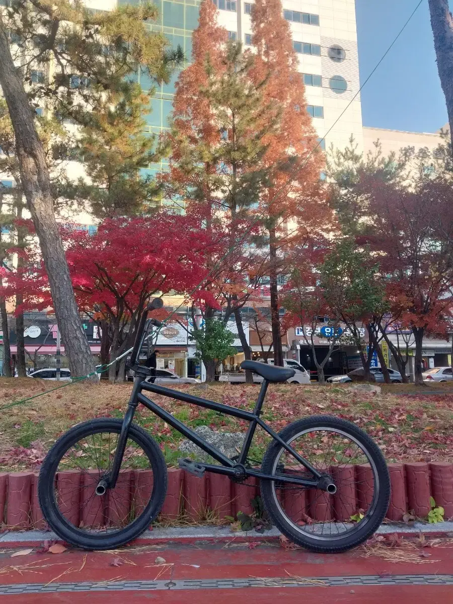 킨크(kink) bmx 팔아요 대차받