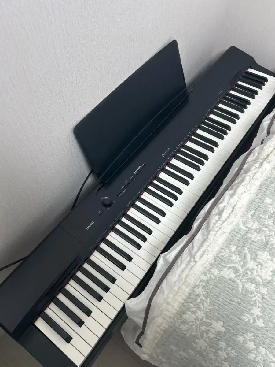 Casio Privia Keyboard PX160