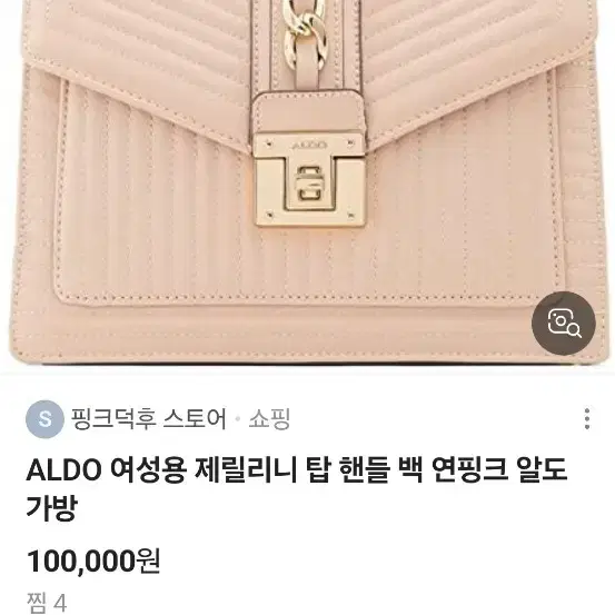 ALDO (알도) 제릴리니 가방