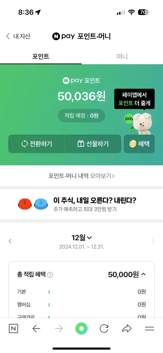 네이버 포인트 50000포인트