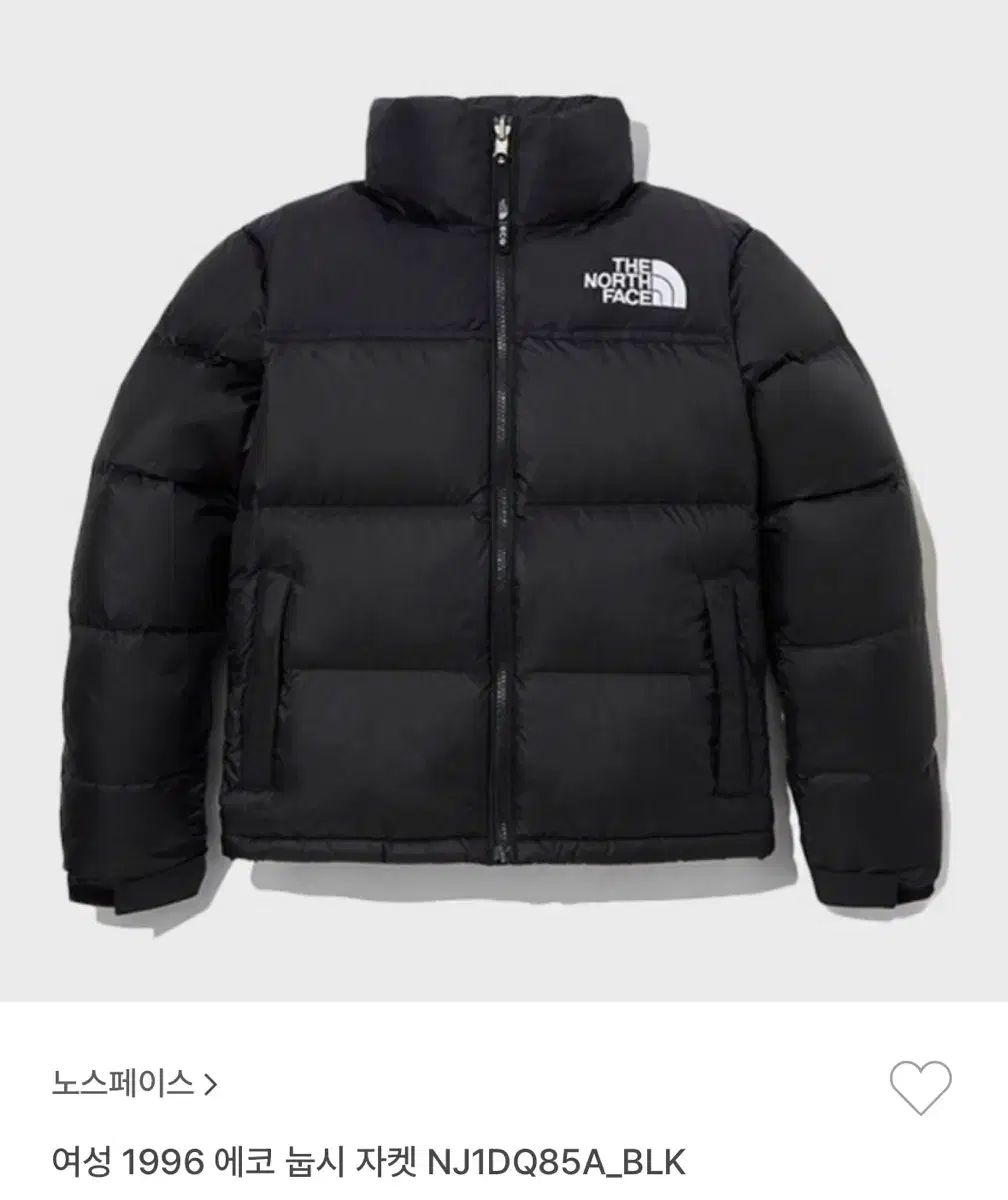 The North Face Women's 1996 Nupsy Black (Matte) 95((L)