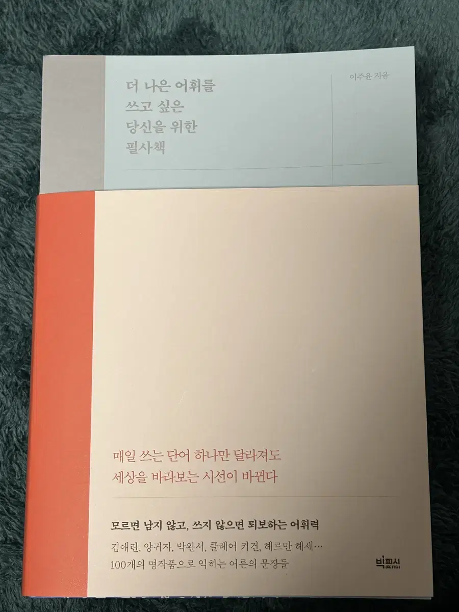 더 나은 어휘를 쓰고 싶은 당신을 위한 필사책