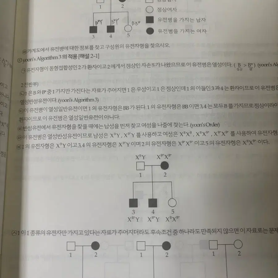 2024수능 생명과학1 윤도영 현강전용 Chain Reaction+익파