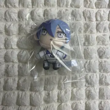 프로세카 세가라키 복권 쁘띠누이 아오야기 겨울야