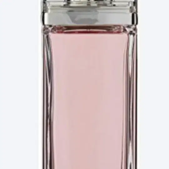 향수 디올 아딕트 100ml Christian Dior Addict 향수