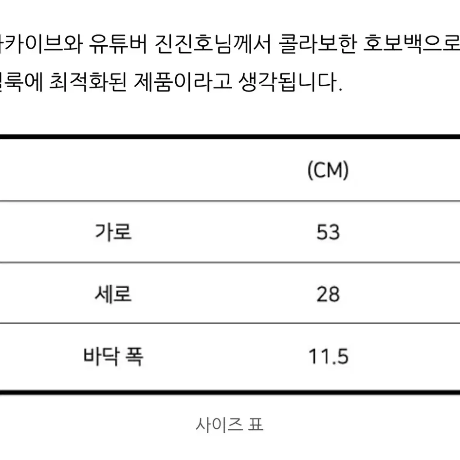 하아아카이브 진진호 호보 백