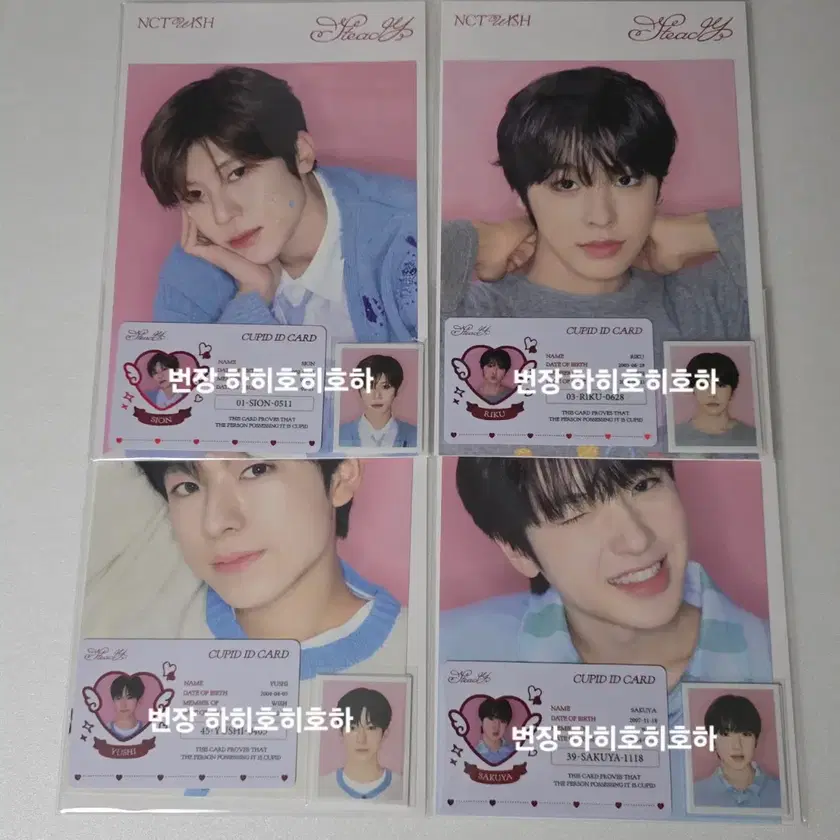 nct wish シオン steady 中華 一直娱 yizhiyu 予約特典 楽天市場】【2024/9/25 韓国発売】NCT WISH エヌシーティー