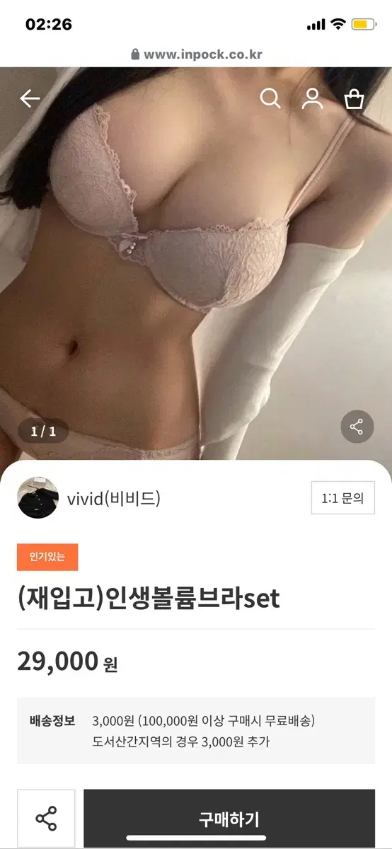 비비드 인생볼륨브라 세트