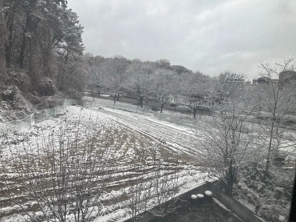 포르자350 만19 리스승계 찾아여