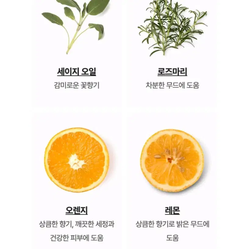 러쉬 LUSH 정크 Junk 100ml 향수 퍼퓸