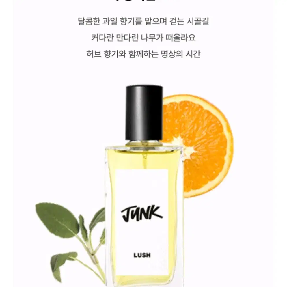 러쉬 LUSH 정크 Junk 100ml 향수 퍼퓸