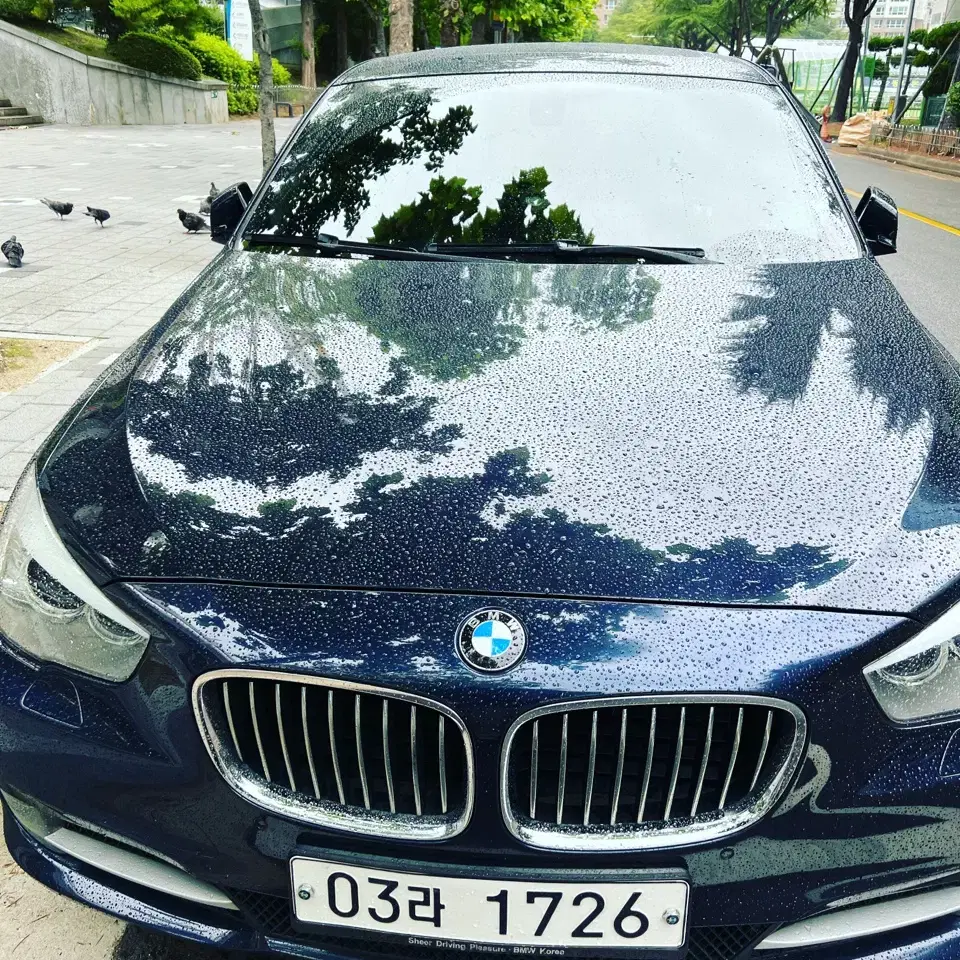 BMW F07 5GT 2010년식