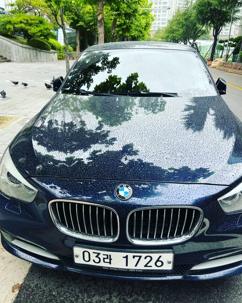 BMW F07 5GT 2010년식