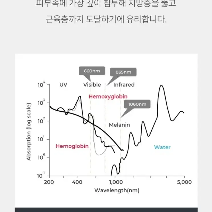 근적외선 알록 팻멜트