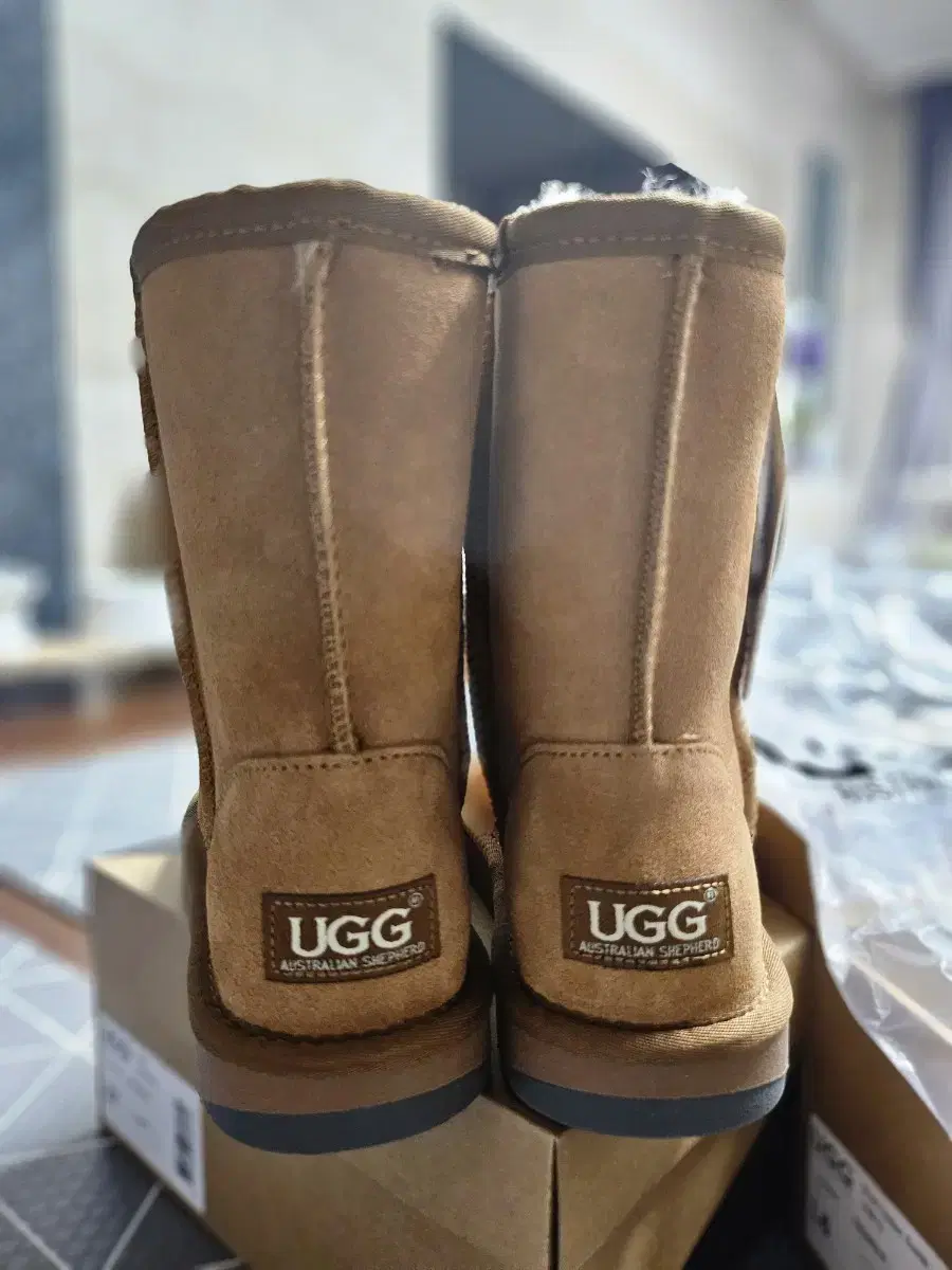 ugg 어그 숏클래식 6사이즈 (230~235)