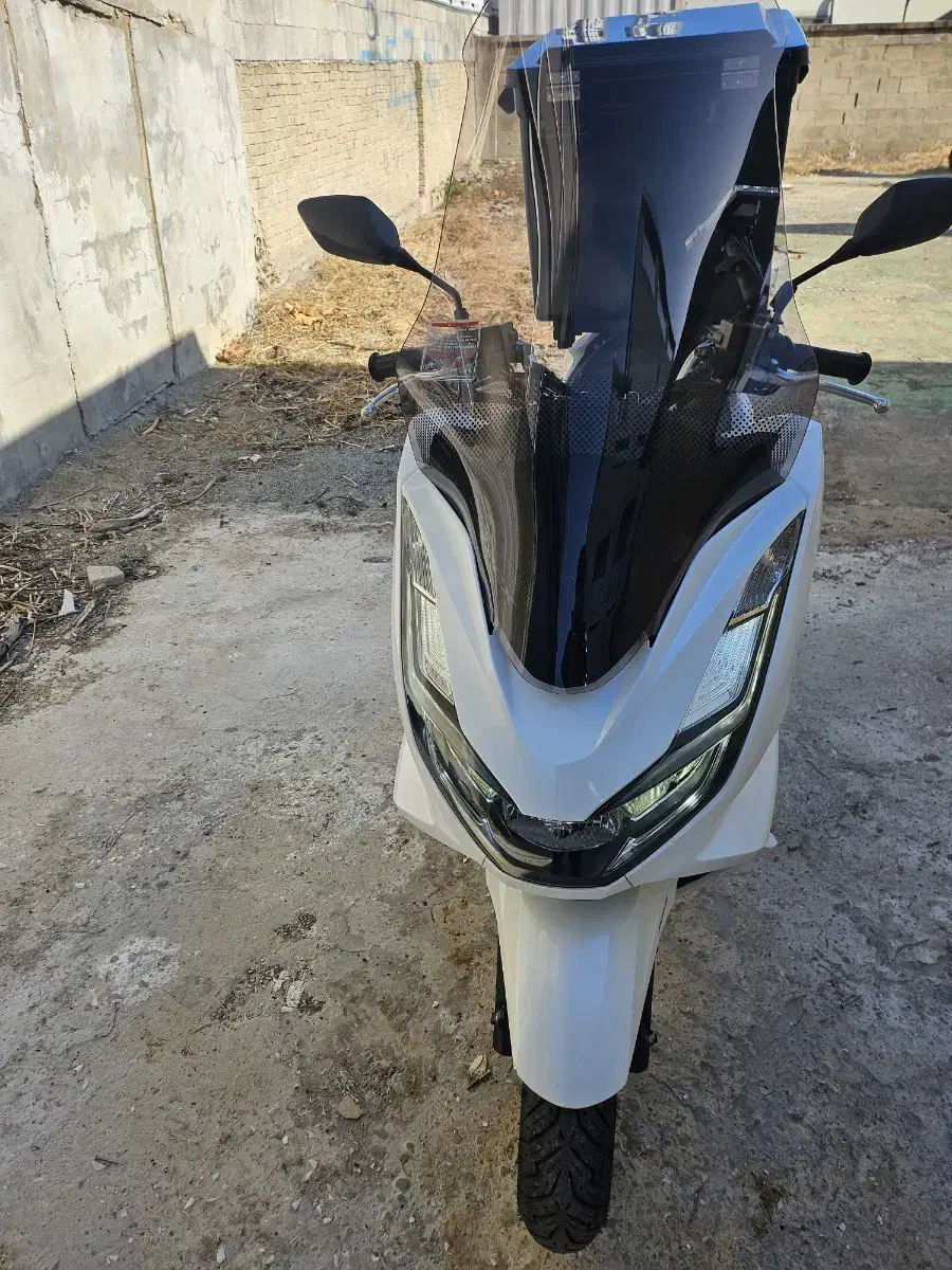 pcx125 abs 22년식