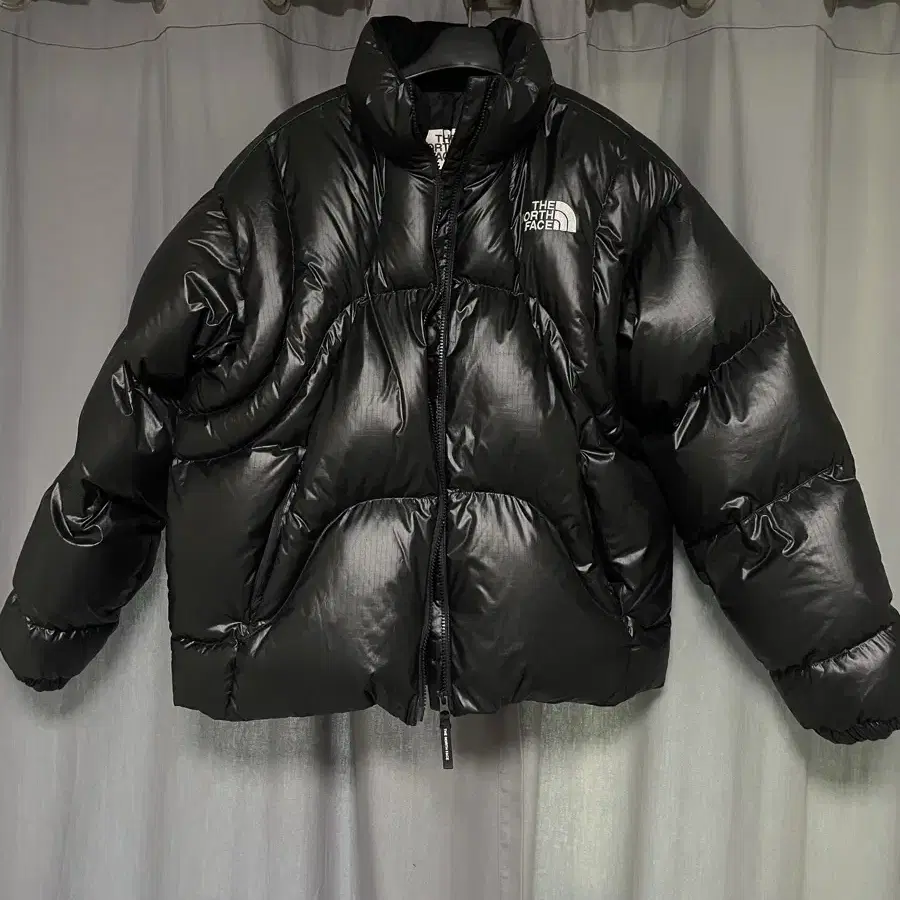 노스페이스 WAVE RDS DOWN JACKET 패딩