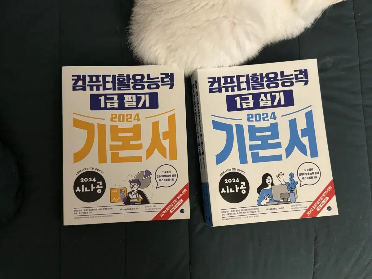 시나공 컴활1급 이론+필기 책 세트로 판매합니다