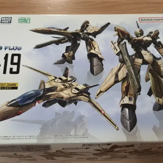 HG YF-19