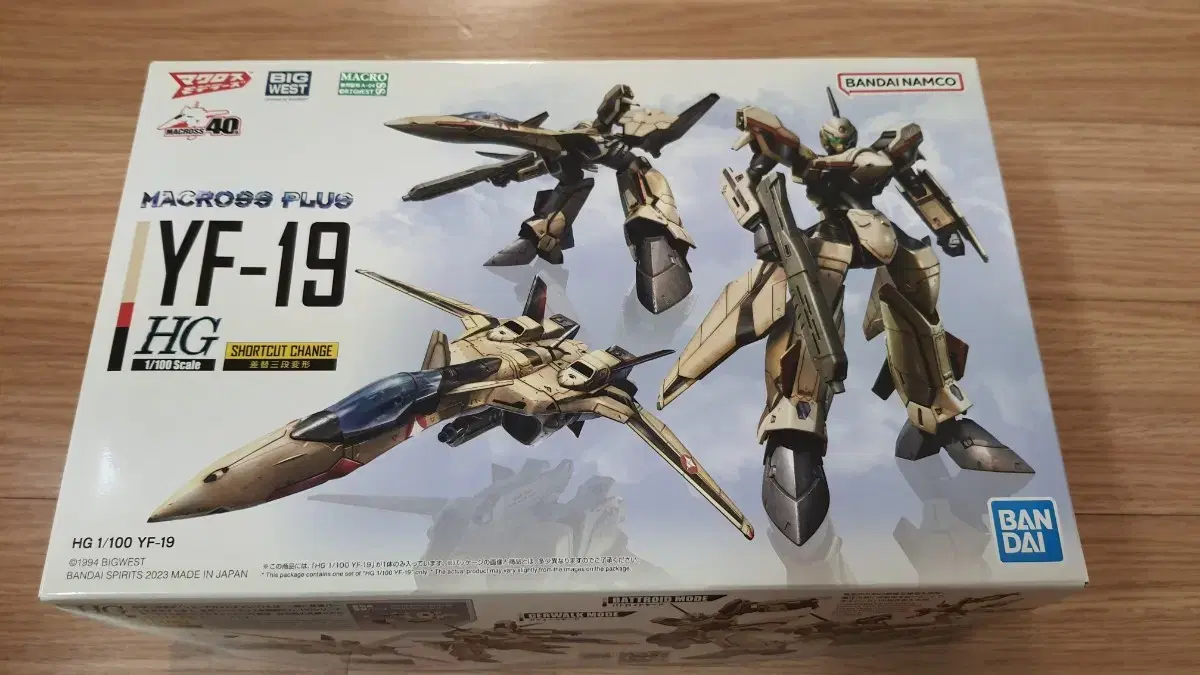 HG YF-19