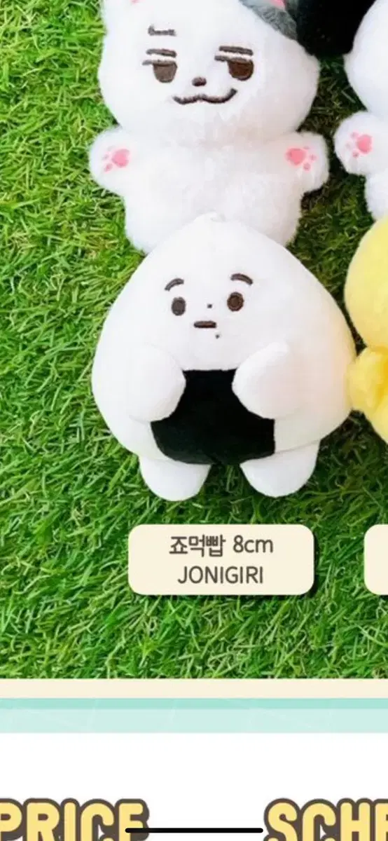 &team Jomokbap doll wts