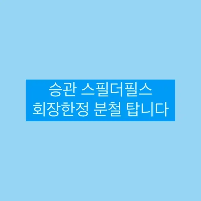 세븐틴 회장한정 승관 분철 탑니다