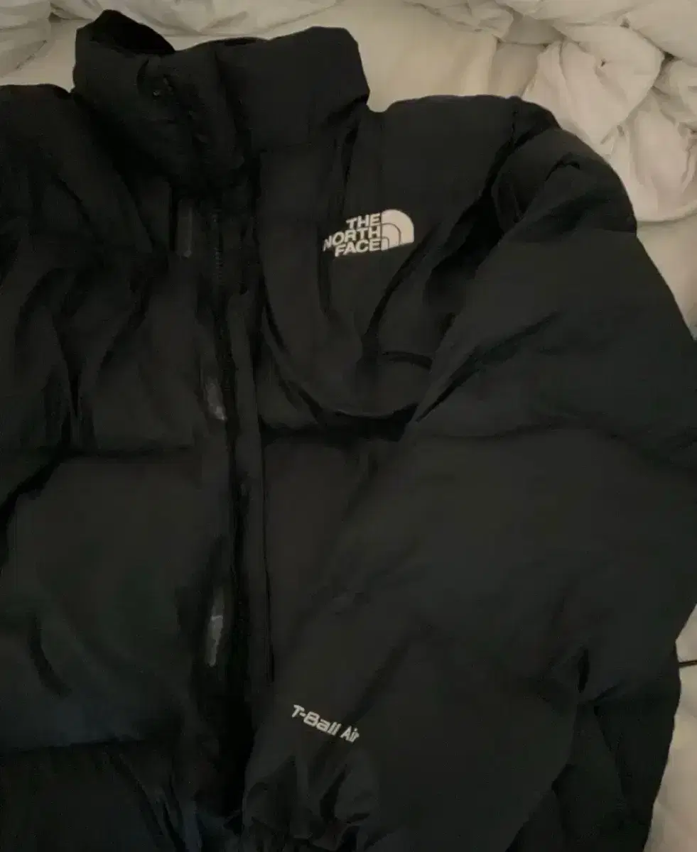 [M95] The North Face T-ball air padding