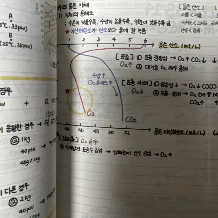 엄영대T 지구과학 영대노트