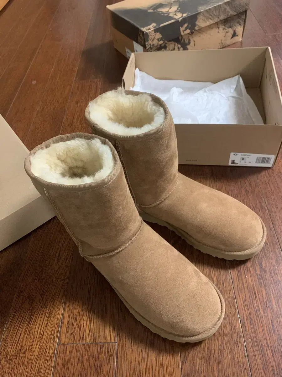 어그 클래식 숏2 8size 39 / ugg classic shortII