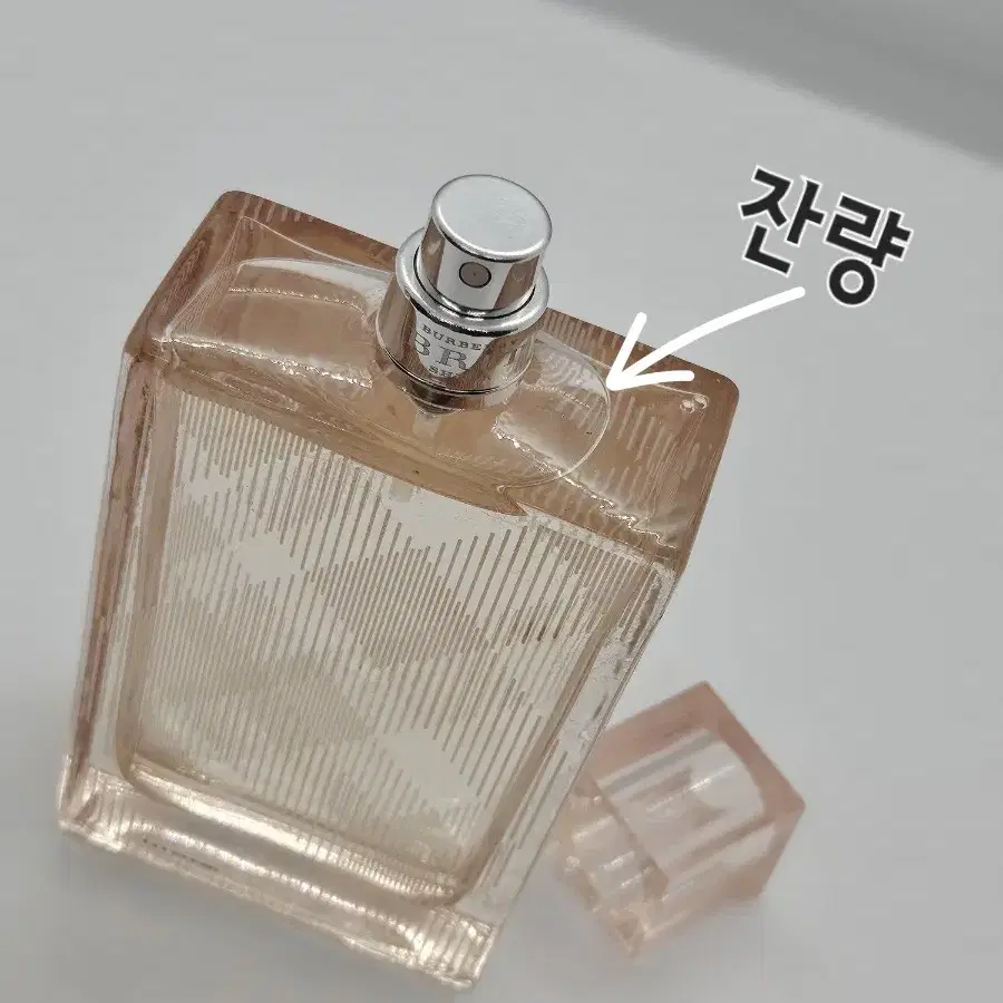 버버리 브리트(브릿) 쉬어 포허 100ml EDT 향수